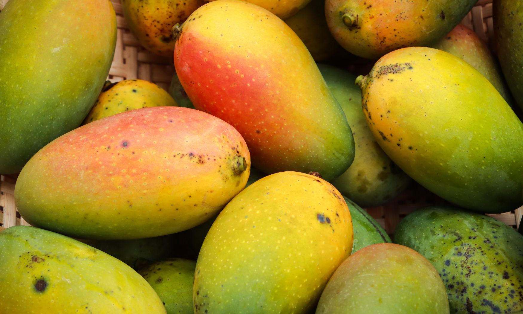 Mangokernbutter
